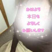 ヒメ日記 2026/03/10 09:41 投稿 香織(かおり) 人妻城 横浜本店