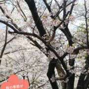 ヒメ日記 2026/03/30 14:39 投稿 香織(かおり) 人妻城 横浜本店