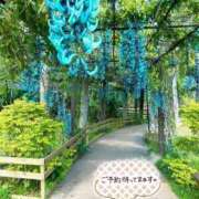 ヒメ日記 2026/04/02 14:54 投稿 香織(かおり) 人妻城 横浜本店