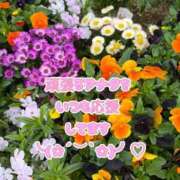 ヒメ日記 2026/04/18 09:23 投稿 香織(かおり) 人妻城 横浜本店