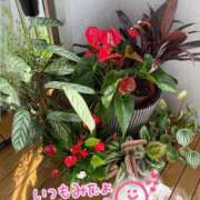 ヒメ日記 2026/05/29 08:13 投稿 香織(かおり) 人妻城 横浜本店