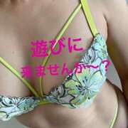 ヒメ日記 2026/07/02 09:38 投稿 香織(かおり) 人妻城 横浜本店