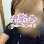 ヒメ日記 2026/09/05 09:29 投稿 香織(かおり) 人妻城 横浜本店