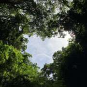 ヒメ日記 2025/11/14 08:38 投稿 栞（しおり） 人妻城 横浜本店