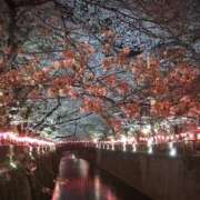 ヒメ日記 2026/03/07 20:40 投稿 栞（しおり） 人妻城 横浜本店