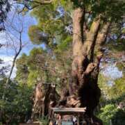 ヒメ日記 2026/04/16 06:25 投稿 栞（しおり） 人妻城 横浜本店