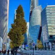 ヒメ日記 2024/12/17 11:01 投稿 潤巳(うるみ) 人妻城 横浜本店