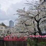 ヒメ日記 2025/04/04 16:45 投稿 潤巳(うるみ) 人妻城 横浜本店