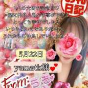 ヒメ日記 2025/05/27 16:40 投稿 潤巳(うるみ) 人妻城 横浜本店