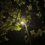 ヒメ日記 2025/11/17 00:46 投稿 潤巳(うるみ) 人妻城 横浜本店