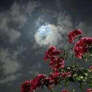 ヒメ日記 2025/12/03 02:06 投稿 潤巳(うるみ) 人妻城 横浜本店