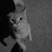 ヒメ日記 2026/01/18 22:42 投稿 潤巳(うるみ) 人妻城 横浜本店