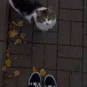 ヒメ日記 2026/02/01 22:11 投稿 潤巳(うるみ) 人妻城 横浜本店