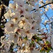 ヒメ日記 2026/04/06 15:46 投稿 潤巳(うるみ) 人妻城 横浜本店