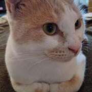 ヒメ日記 2024/12/24 23:07 投稿 杉浦(すぎうら) 人妻城 横浜本店