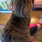 ヒメ日記 2025/01/16 16:07 投稿 杉浦(すぎうら) 人妻城 横浜本店