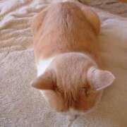 ヒメ日記 2025/01/26 13:35 投稿 杉浦(すぎうら) 人妻城 横浜本店