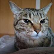 ヒメ日記 2025/01/26 19:10 投稿 杉浦(すぎうら) 人妻城 横浜本店