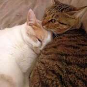 ヒメ日記 2025/07/07 23:36 投稿 杉浦(すぎうら) 人妻城 横浜本店