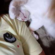 ヒメ日記 2025/10/10 09:04 投稿 杉浦(すぎうら) 人妻城 横浜本店