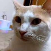 杉浦(すぎうら) 【お礼写メ日記】 人妻城 横浜本店