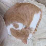 杉浦(すぎうら) 杉浦です。(о´∀`о) 人妻城 横浜本店