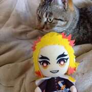 ヒメ日記 2026/03/01 11:33 投稿 杉浦(すぎうら) 人妻城 横浜本店