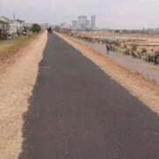 ヒメ日記 2025/01/19 15:01 投稿 すばる 人妻城 横浜本店