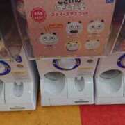 ヒメ日記 2025/02/26 17:25 投稿 すばる 人妻城 横浜本店