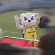 ヒメ日記 2025/03/13 18:37 投稿 すばる 人妻城 横浜本店