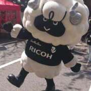 ヒメ日記 2025/03/31 17:54 投稿 すばる 人妻城 横浜本店