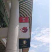 ヒメ日記 2025/06/01 18:12 投稿 すばる 人妻城 横浜本店