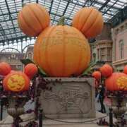 ヒメ日記 2025/10/29 21:07 投稿 すばる 人妻城 横浜本店