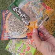 ヒメ日記 2025/11/09 13:21 投稿 すばる 人妻城 横浜本店