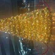 ヒメ日記 2025/12/10 11:08 投稿 すばる 人妻城 横浜本店