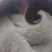 ヒメ日記 2025/12/11 19:05 投稿 すばる 人妻城 横浜本店