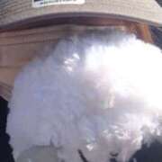 すばる ３月ですね 人妻城 横浜本店