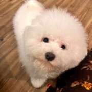 ヒメ日記 2025/03/24 17:11 投稿 あこ One More奥様　蒲田店