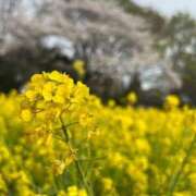 ヒメ日記 2025/04/08 18:55 投稿 あこ One More奥様　蒲田店