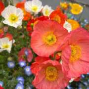 ヒメ日記 2025/04/28 18:04 投稿 あこ One More奥様　蒲田店