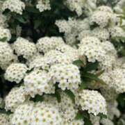 ヒメ日記 2025/04/28 23:30 投稿 あこ One More奥様　蒲田店