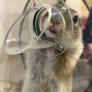 ヒメ日記 2025/04/30 03:17 投稿 あこ One More奥様　蒲田店