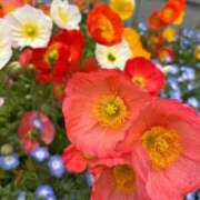 ヒメ日記 2025/05/01 19:54 投稿 あこ One More奥様　蒲田店