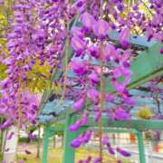 ヒメ日記 2025/05/06 21:04 投稿 あこ One More奥様　蒲田店