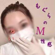 ヒメ日記 2026/07/04 12:22 投稿 るい 前立腺マッサージ専門 もぐらのM性感 池袋店