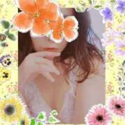 ヒメ日記 2025/11/11 11:02 投稿 いく 前立腺マッサージ専門 もぐらのM性感 池袋店