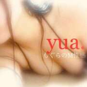 ヒメ日記 2025/03/06 19:52 投稿 ゆあ 前立腺マッサージ専門 もぐらのM性感 池袋店