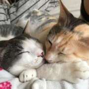 しの こんばんは 前立腺マッサージ専門 もぐらのM性感 池袋店