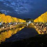 ヒメ日記 2025/11/10 18:49 投稿 かすみ G-SCANDAL