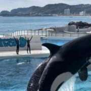 ヒメ日記 2025/11/21 19:16 投稿 かすみ G-SCANDAL